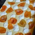 Erzsébet Zsuzsanna Wellerné Peterdi Cooksnap-ja, amikor elkészítette a(z) Gyümölcsrizs receptet.