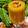 Manisha Malvi Angaitkar's cooksnap of when they made Fresh Mango & Almond shake.