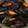 El cooksnap de Irene-Guirao cuando hizo Mejillones al vapor.