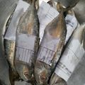 Cooksnap dari Ukhti Ika untuk resep Ikan kembung rebus medan