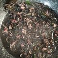 Cooksnap dari Stefanie Alvina Salim untuk resep Cumi bumbu hitam