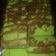 Cooksnap dari Seritani untuk resep Bolu Pandan Cokelat lembut a.k.a Marmer Pandan Cokelat