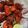 Ilakiya Abhishek's cooksnap of when they made சிக்கன் சில்லி (Chicken chilli recipe in tamil).
