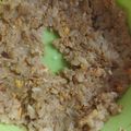 Cooksnap dari Cepty brown untuk resep Nasi Goreng MPASI 10 bulan