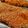 Kristina's cooksnap of when they made Peyton's buffalo ranch crusted chicken.