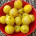 heena's cooksnap of when they made આથેલા આમળા (Aathela Aamla Recipe In Gujarati).