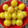 heena's cooksnap of when they made આથેલા આમળા (Aathela Aamla Recipe In Gujarati).