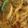 Fary Feroz's cooksnap of when they made Masla Bhey ki sabzi.