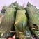 Cooksnap dari christine natalina untuk resep Nasi Bakar Tongkol Suwir Kemangi
