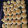 El cooksnap de Laura Viviana Rodriguez cuando hizo Pancitos para sándwich fáciles y ricos 👌.