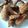 Cooksnap dari ekitchen untuk resep Chicken Wing saus Lemon