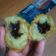 Cooksnap dari Umm.Fath Kitchen untuk resep Kroket kentang (jual 1000 masih untung)