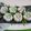 Cooksnap dari Indah Mei untuk resep Kue Barongko Pandan Khas Bugies
