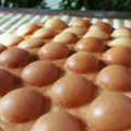 Cooksnap dari Rina Arliny untuk resep Hongkong Egg Waffle