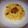 Disha D'Souza's cooksnap of when they made আলু ফ্রায়েড রাইস (Aloo fried rice recipe in Bengali).
