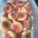 El cooksnap de roxanairamirez cuando hizo Rellenitas y pepas con mermelada de zapallo.