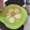 Cooksnap dari Evatia Irawan untuk resep Terang bulan jadul (pancake)