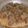  KK 's cooksnap of when they made Chicken biryani.