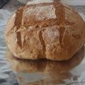 El cooksnap de Mary Los Arcos Maestro cuando hizo Pan casero en horno de leña muy fácil.