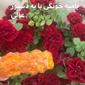 کوک اسنپ fifi61 بعد از امتحان کردن بامیه بازاری عالی.