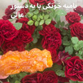 کوک اسنپ fifi61 بعد از امتحان کردن بامیه بازاری عالی.