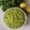 Harsha Gohil's cooksnap of when they made ફુદીના ચટણી (Pudina Chutney Recipe In Gujarati).