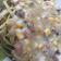 El cooksnap de Germania Ceballos cuando hizo Pasta carbonara con maíz, tocineta y chuleta ahumada.