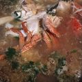 Cooksnap dari Gusti Ayu Dewi Arimbi untuk resep Sop Kepiting
