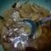 Cooksnap dari Divo Dwi Bramantyo untuk resep Semur Ati Ampela Kentang Kecap