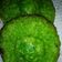 Cooksnap dari Dewi Sumarsih untuk resep Kue cucur (tanpa tepung beras)
