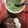El cooksnap de Naty Coria cuando hizo Guacamole...la más rica.