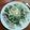 El cooksnap de Daniela Araujo cuando hizo Salsa cremosa de Pollo y Espinaca.