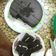 Cooksnap dari Bunda Keysha untuk resep Bolu Kukus Ketan Hitam Keju