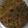 Bina Talati's cooksnap of when they made કોથમીર મેથી ના થેપલા (Kothmir Methi Thepla Recipe In Gujarati).