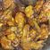 Cooksnap dari An Sawas untuk resep Spicy wings chicken