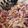 Alexis Donner's cooksnap of when they made Crunchy Coleslaw.