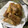 Cooksnap dari Afifa Fitia untuk resep Lumpia Rebung
