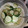 Erica 's cooksnap of when they made Easy and simple cucumber salad.