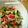 Cooksnap Ziana Chesaad semasa beliau membuat JELATAH (Acar timun jepun).
