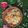 Geeta Godhiwala's cooksnap of when they made જુવાર ની ઘાણી.