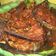 Cooksnap dari Asmara Madani untuk resep Tongkol Balado 🐟