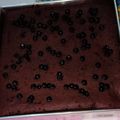 Cooksnap dari Retna Utami untuk resep Brownies Kukus Putih Telur