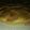El cooksnap de Yanii🥞🍕🍞🍗🍖🥐🥒🌶️🥣🥗🥘🍲🍝🎂🍩🍪🍮🥧 cuando hizo Torta de Manzanas sin gluten/ Sin tacc.