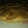 El cooksnap de Yanii🥞🍕🍞🍗🍖🥐🥒🌶️🥣🥗🥘🍲🍝🎂🍩🍪🍮🥧 cuando hizo Torta de Manzanas sin gluten/ Sin tacc.