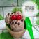 Cooksnap dari My'L Kitchen ( Libi ) untuk resep Chocolate ice cream 3 bahan saja