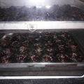 Cooksnap dari Pawon mak Fatih untuk resep Brownies Kering Mini