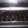 Cooksnap dari Pawon mak Fatih untuk resep Brownies Kering Mini