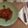 El cooksnap de Pola cuando hizo Fricandó de ternera.