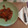El cooksnap de Pola cuando hizo Fricandó de ternera.