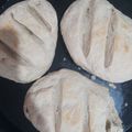 El cooksnap de Mariela Avalos cuando hizo Pan casero fácil y rendidor 🥖👌.
